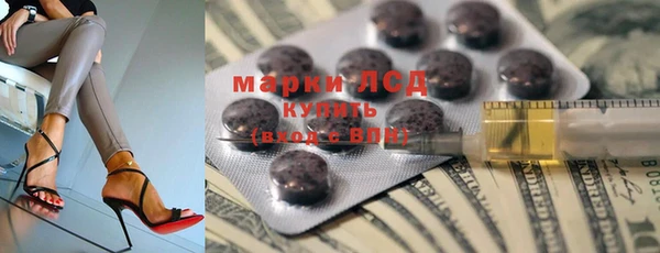 соль ск Каменногорск