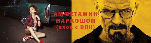 ПСИЛОЦИБИНОВЫЕ ГРИБЫ Каменка