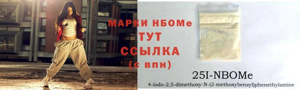 соль ск Каменногорск
