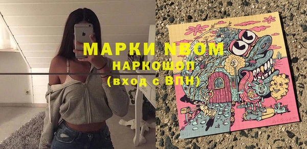 ПСИЛОЦИБИНОВЫЕ ГРИБЫ Каменка