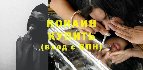 ПСИЛОЦИБИНОВЫЕ ГРИБЫ Каменка