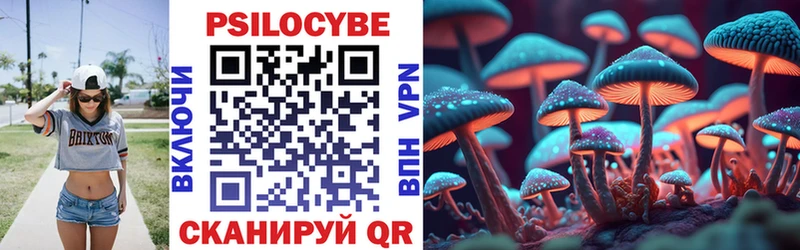 Галлюциногенные грибы Psilocybe  дарк нет какой сайт  Кукмор 